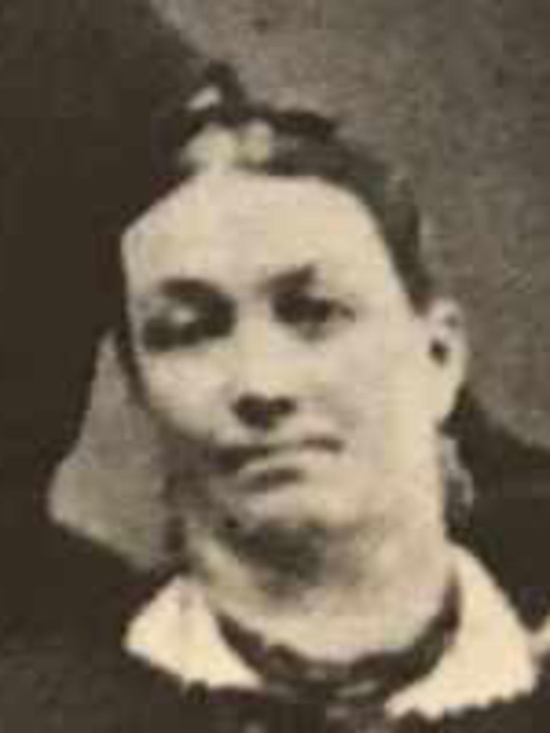 Phoebe Elizabeth Soper (1823 - 1887) Profile